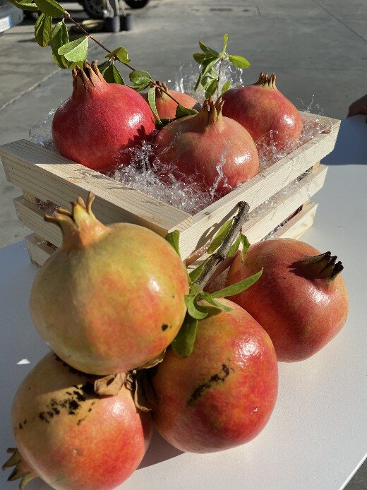 melograni-freschi-per-succo melograni-freschi-per-succo